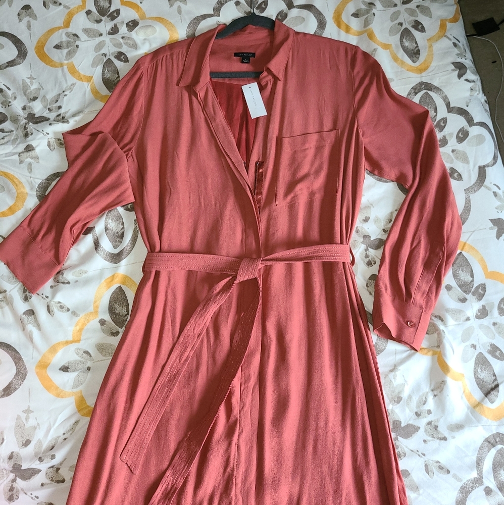 Ann Taylor Long Sleeve, Zip Dress